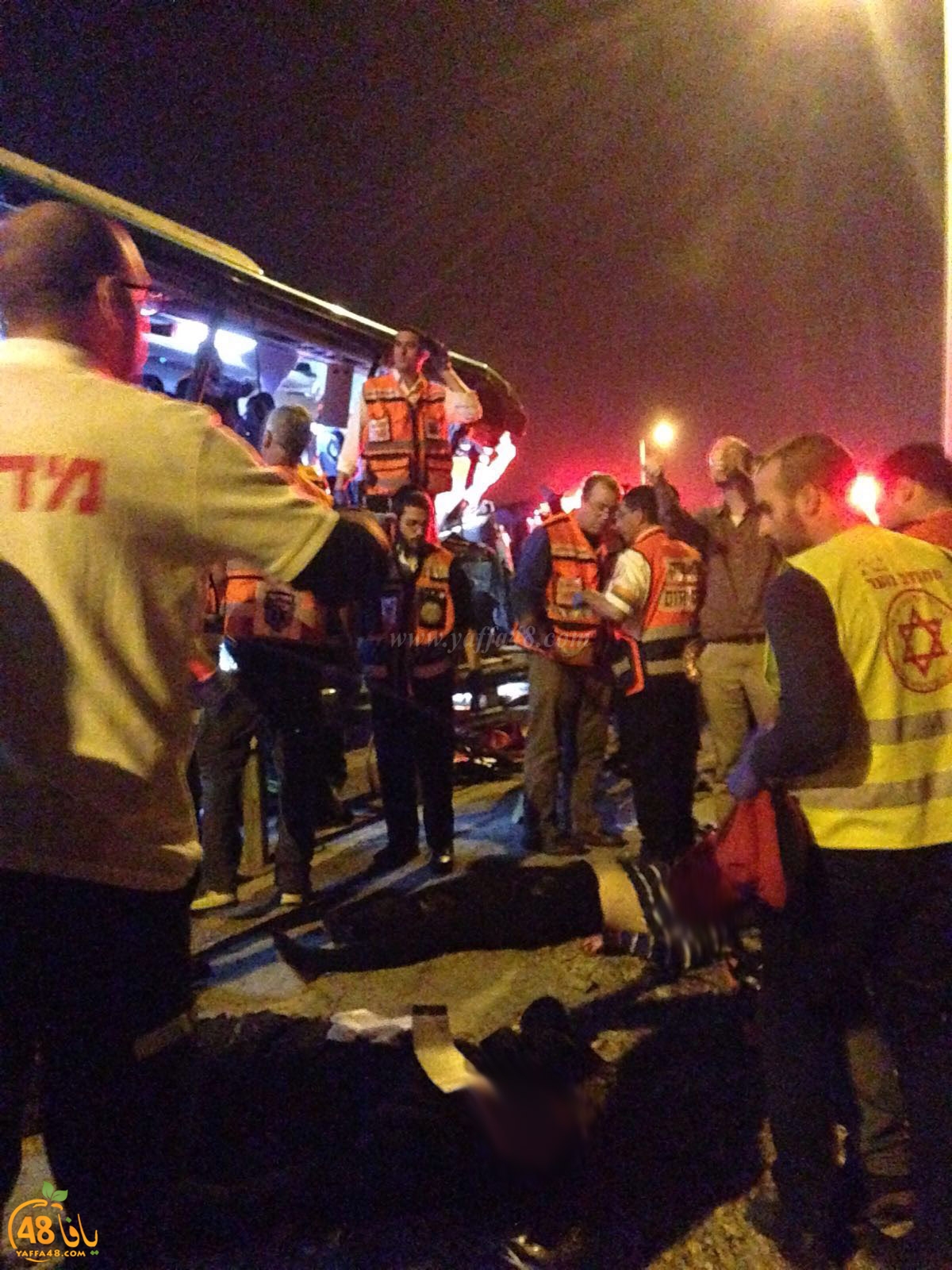 Accjs latroona (12).jpg